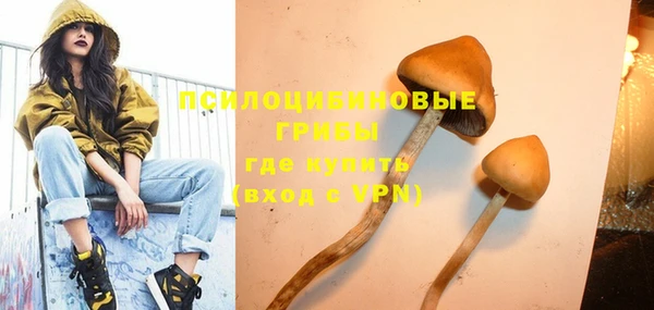 спайс Верея