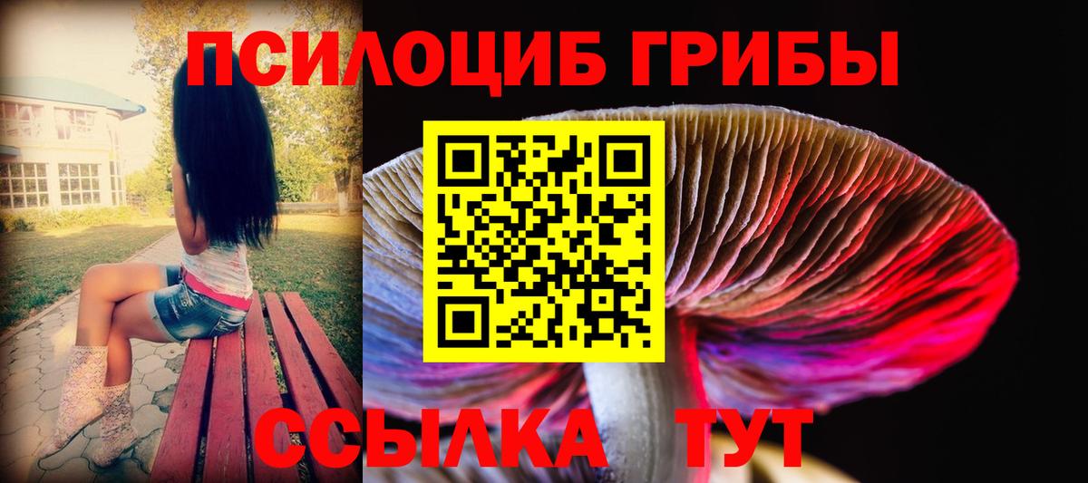Псилоцибиновые грибы Psilocybe  Вход с VPN  Геленджик  Галлюциногенные грибы прущие грибы 
